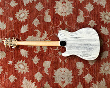 Load image into Gallery viewer, Paul Reed Smith SE NF53
