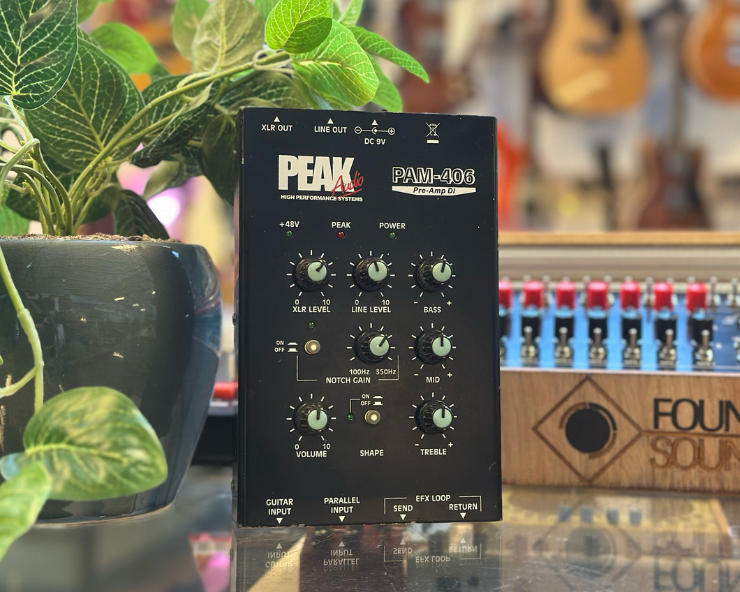 Peak Audio PAM-406