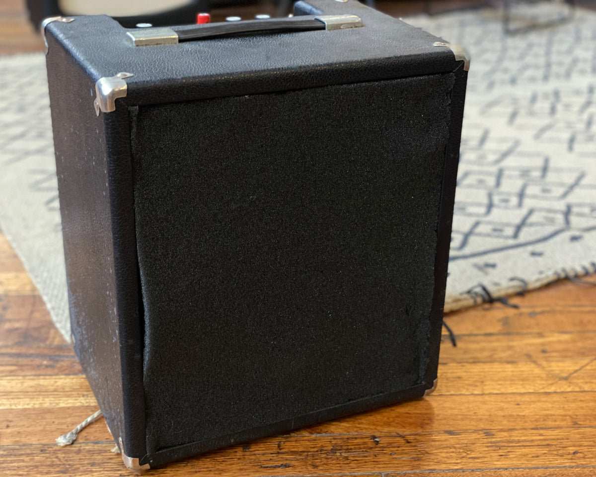 Polytone Mini-Brute – Found Sound