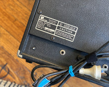 Load image into Gallery viewer, Polytone Mini-Brute
