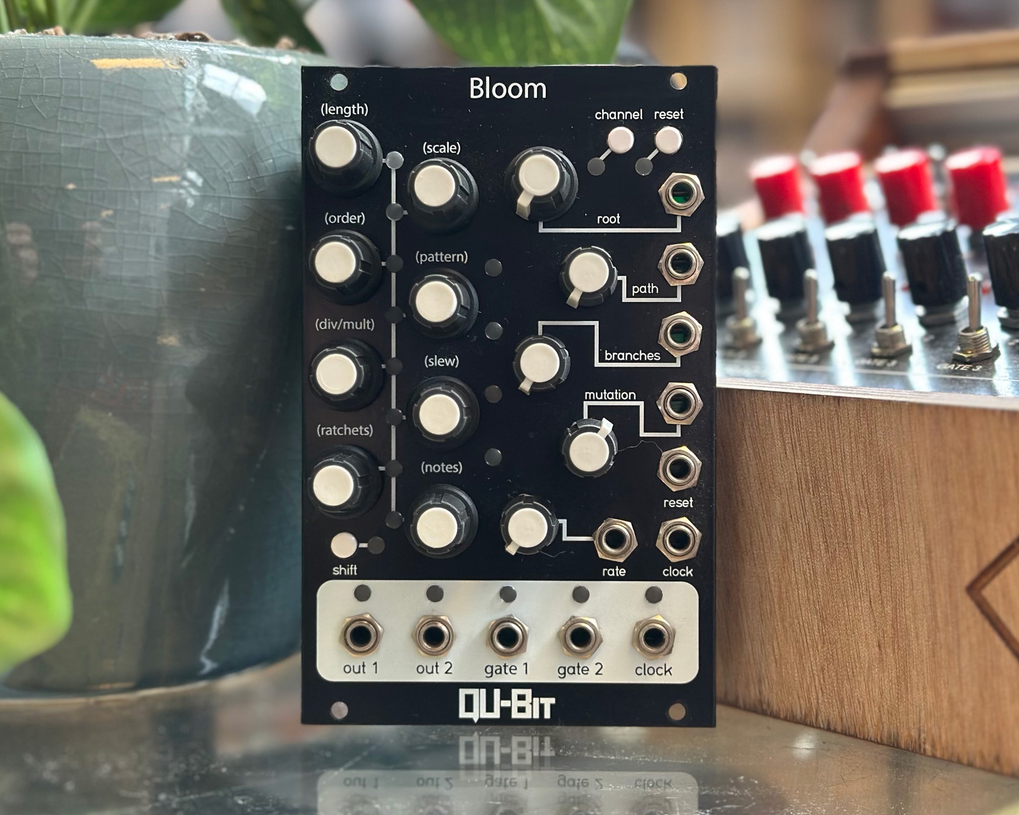Qu-Bit Bloom モジュラーシンセ ユーロラック Qu-Bit Bloom モジュラーシンセ ユーロラック Qu-bit Electronix Bloom