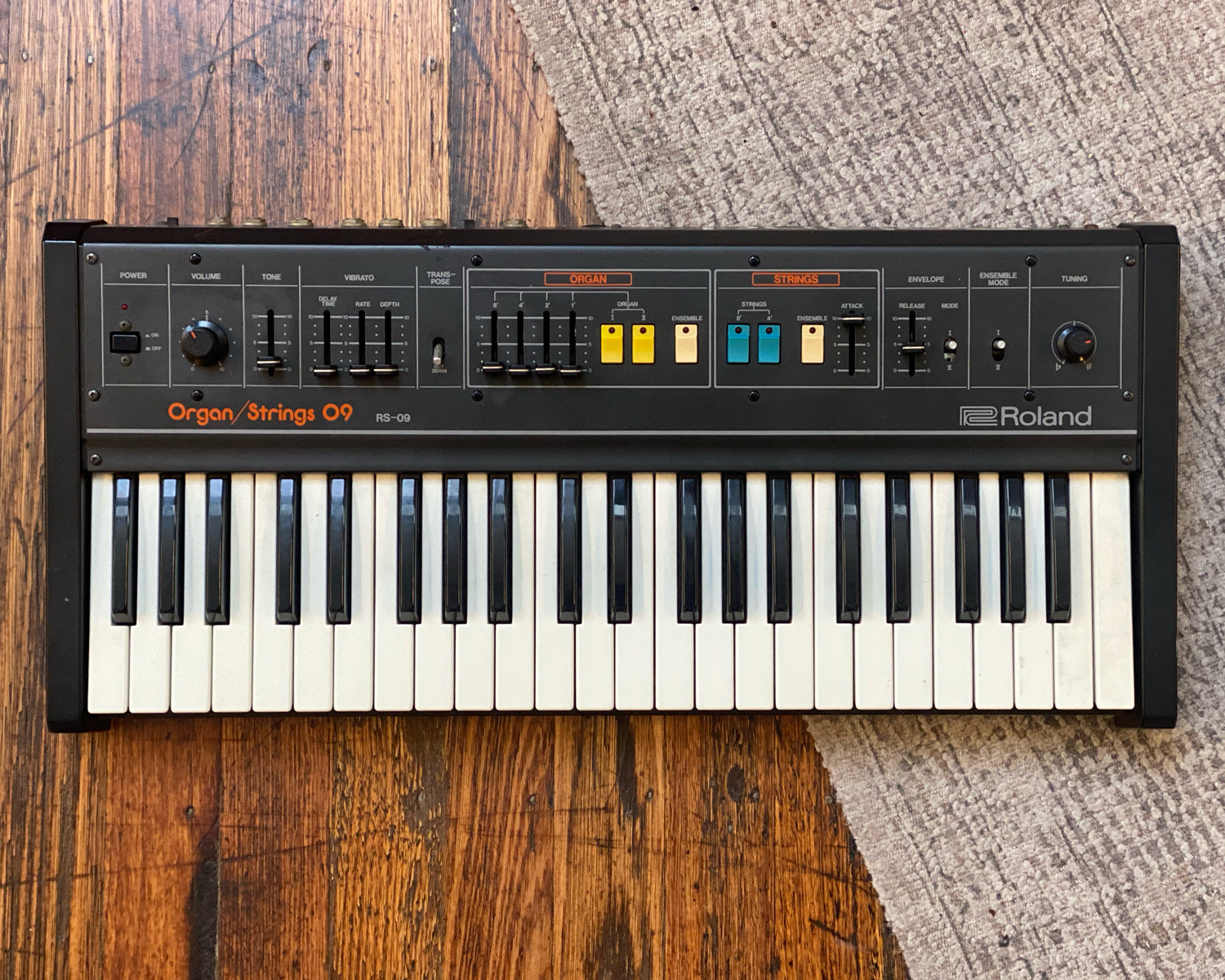 Roland RS-09 Organ/Strings 09 - 110 Volt Model