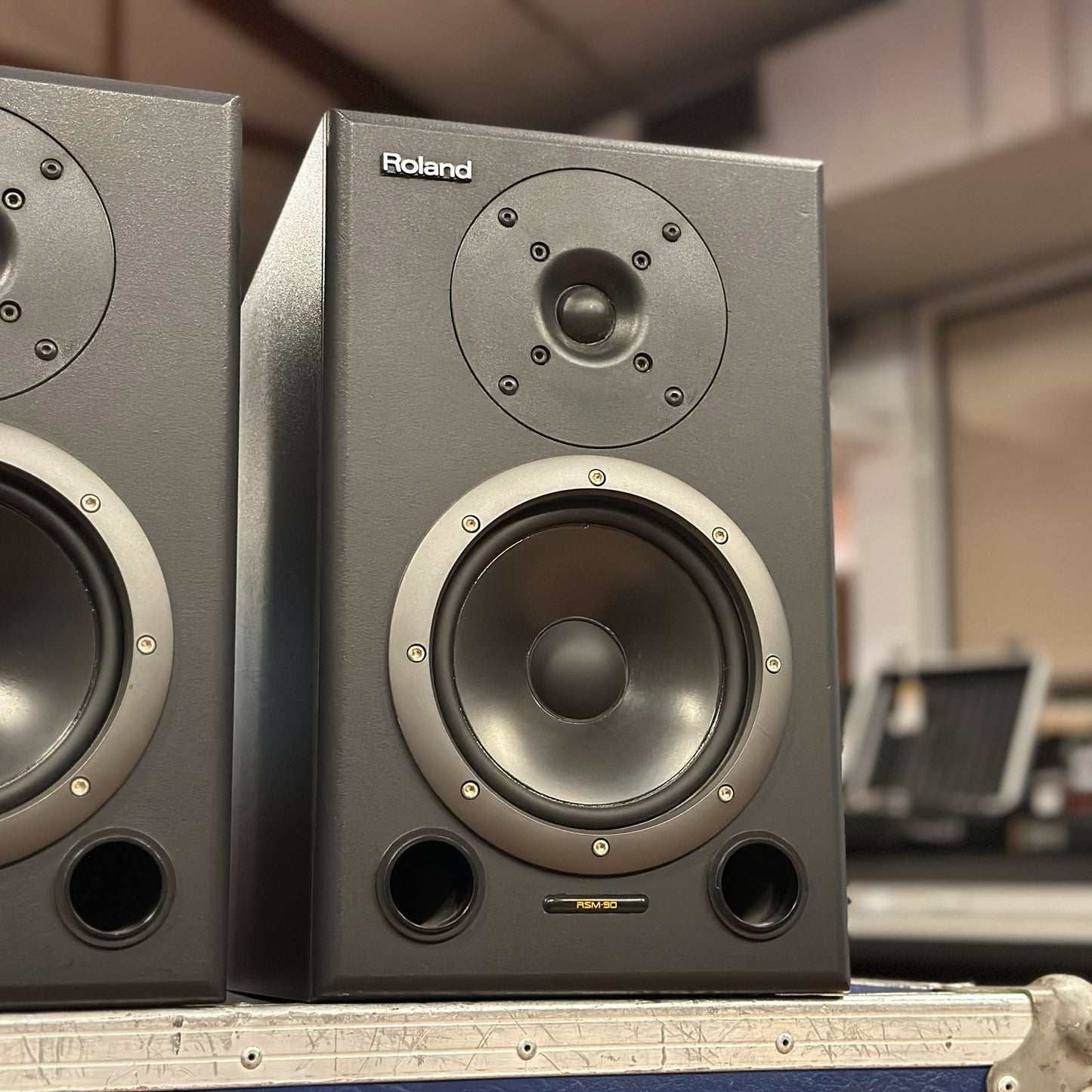 Roland RSM-90 Passive Studio Monitors PAIR
