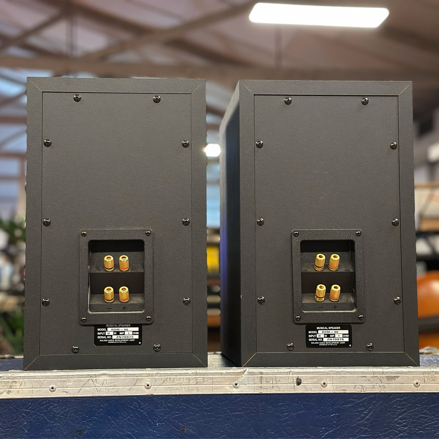 Roland RSM-90 Passive Studio Monitors PAIR