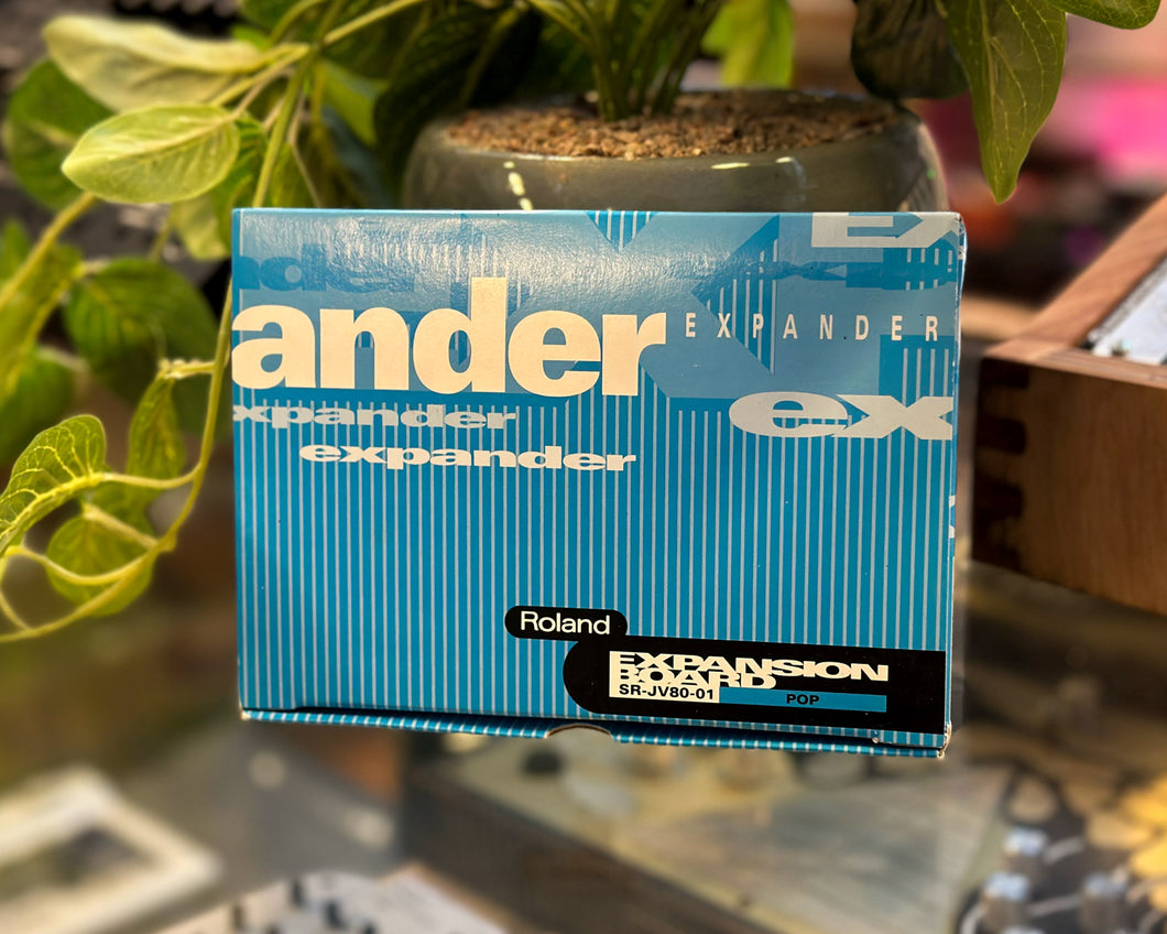 Roland SR-JV80-01 Pop Expansion Card – Found Sound