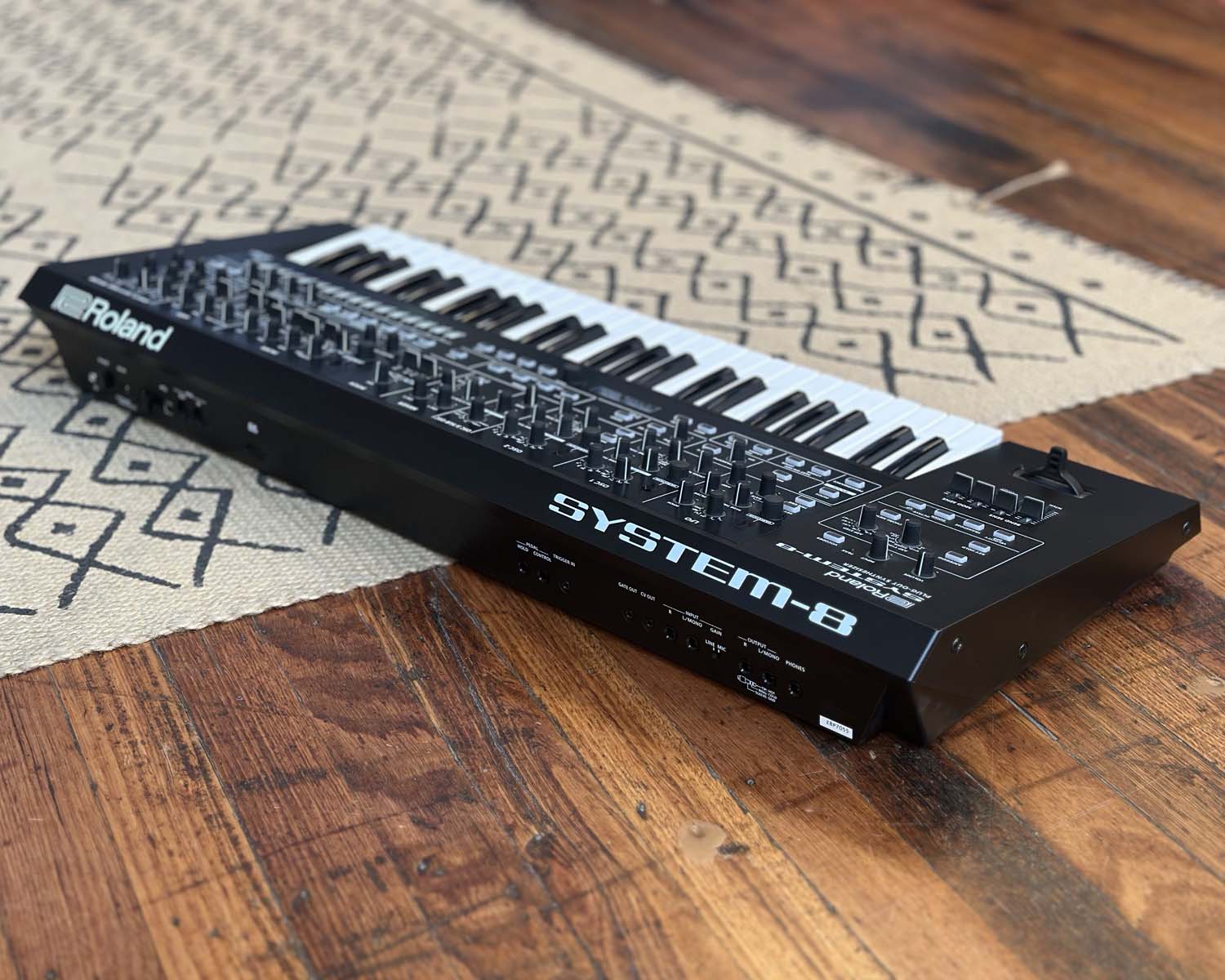 Roland System 8 Plug Out Synthesizer – Found Sound