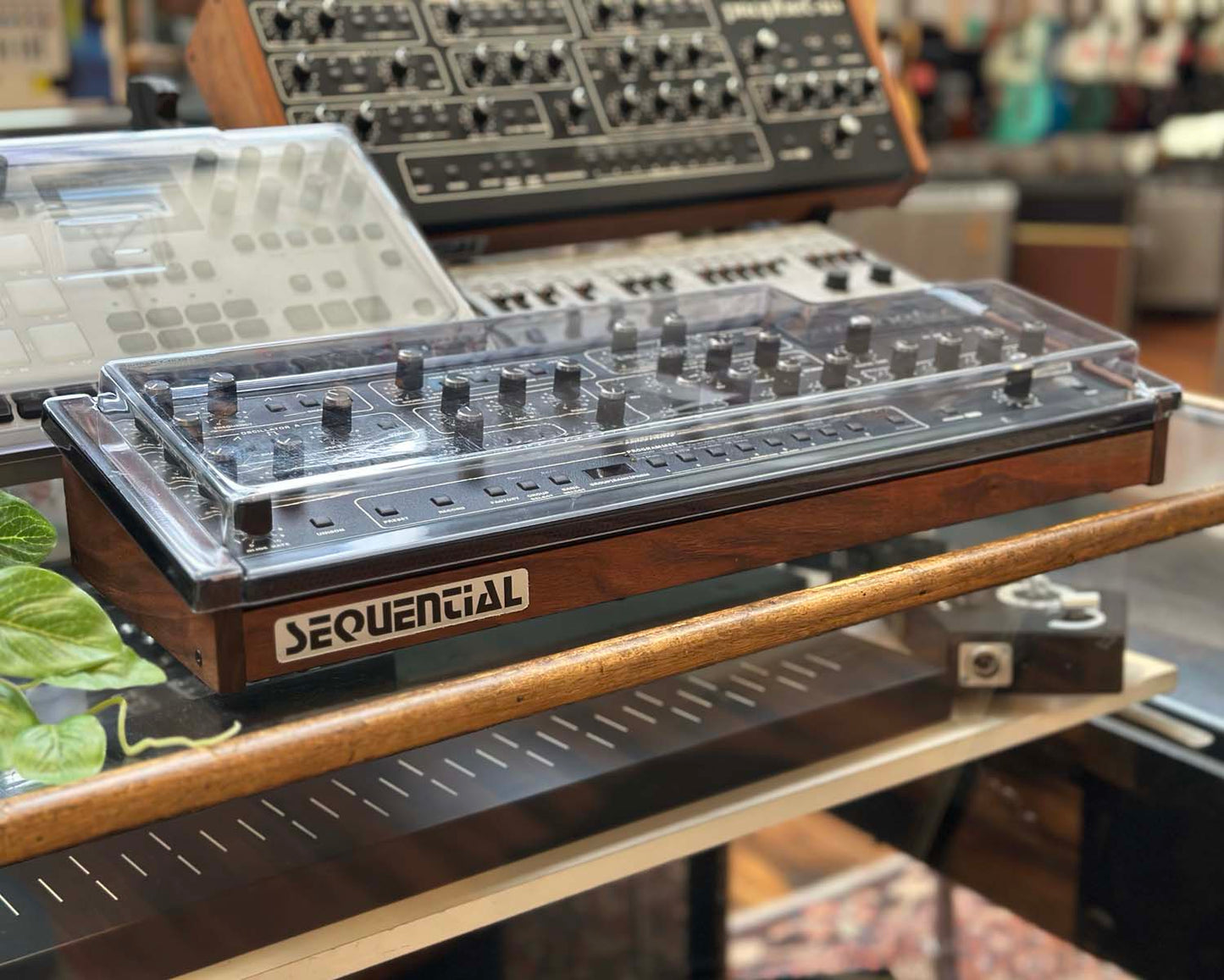 Sequential Prophet-5 Module