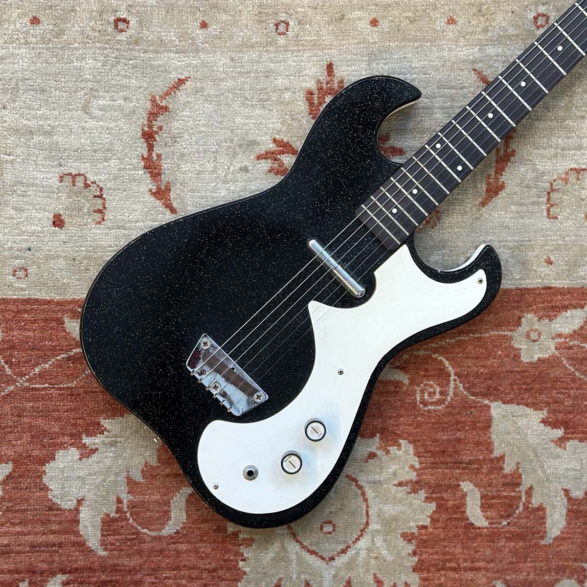 Silvertone 1448 Amp-in-Case