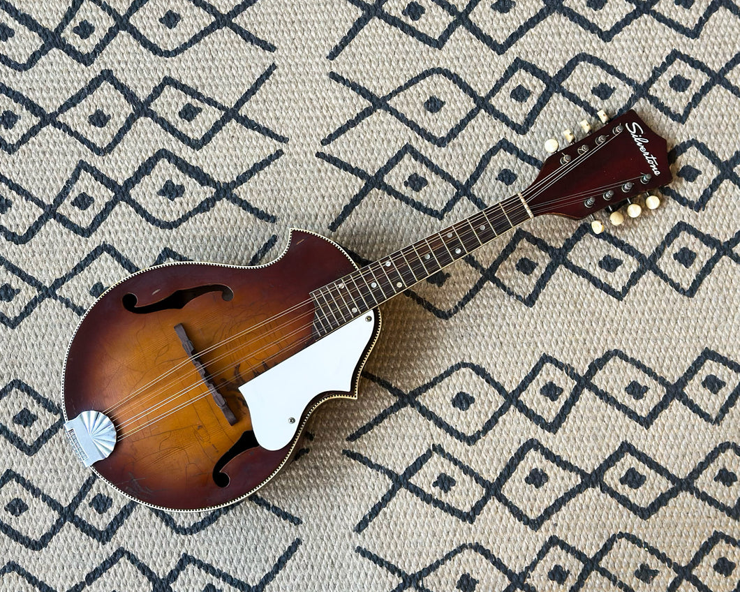 Silvertone Mandolin