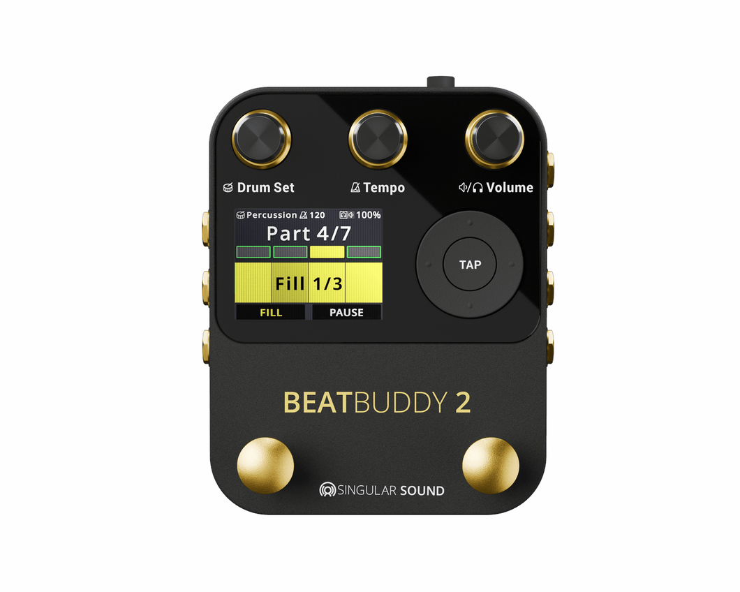 Singular Sound Beat Buddy 2