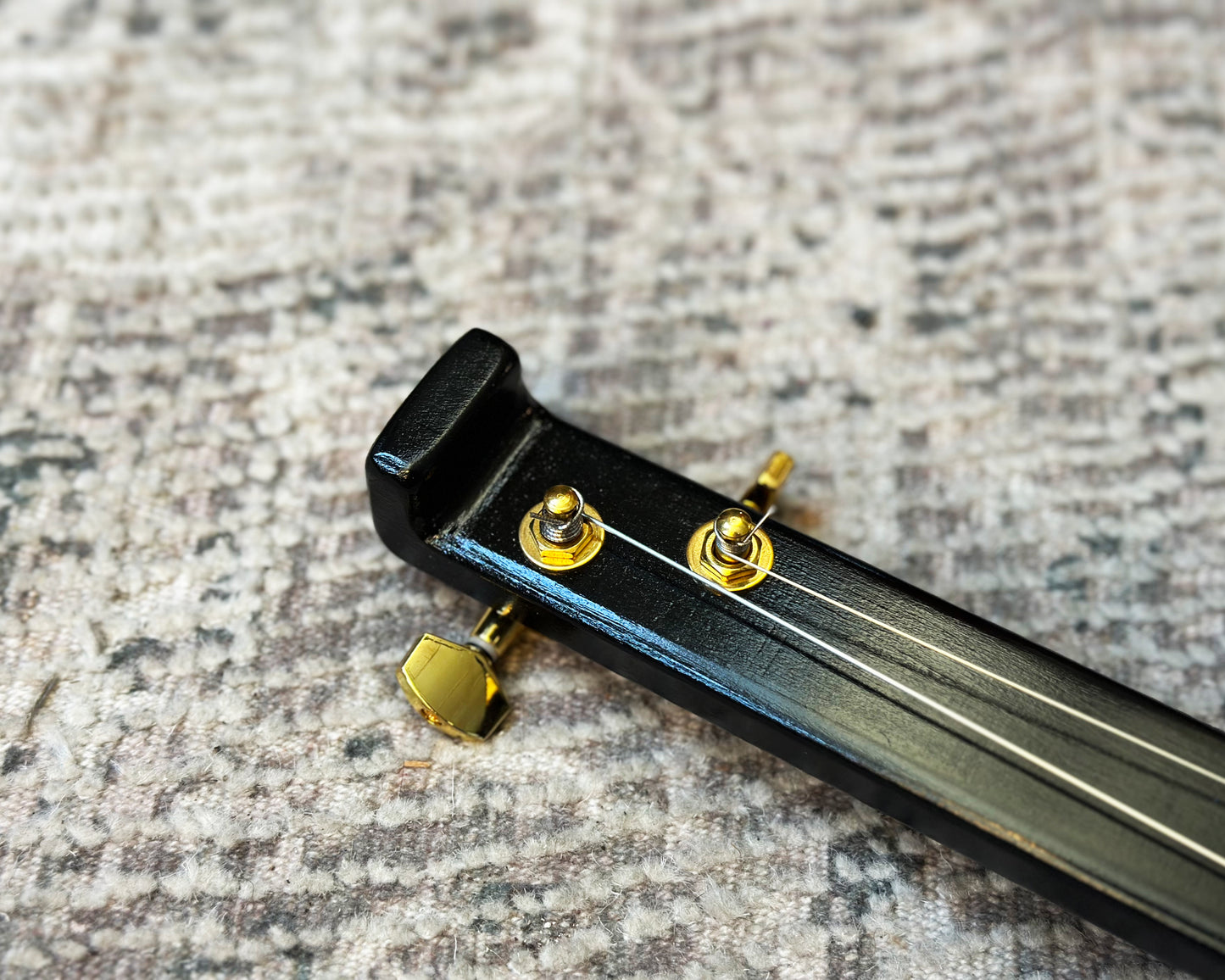 Soma Laboratory Dvina Electro-Acoustic Instrument - Black