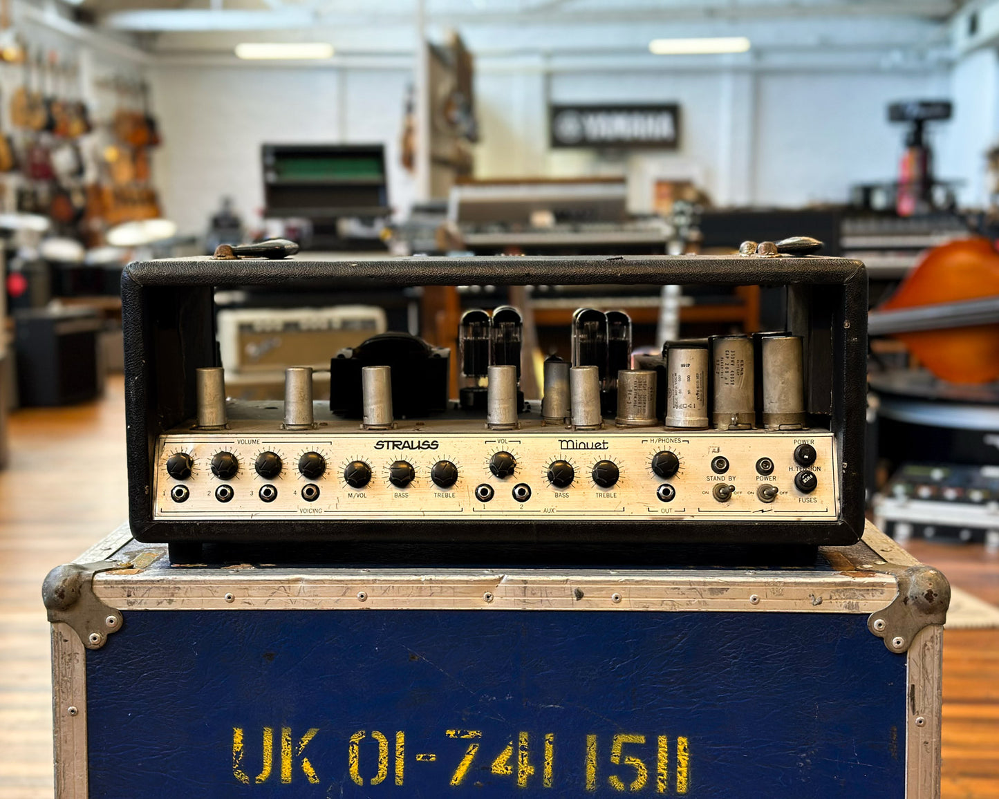 Strauss Minuet Valve PA Head
