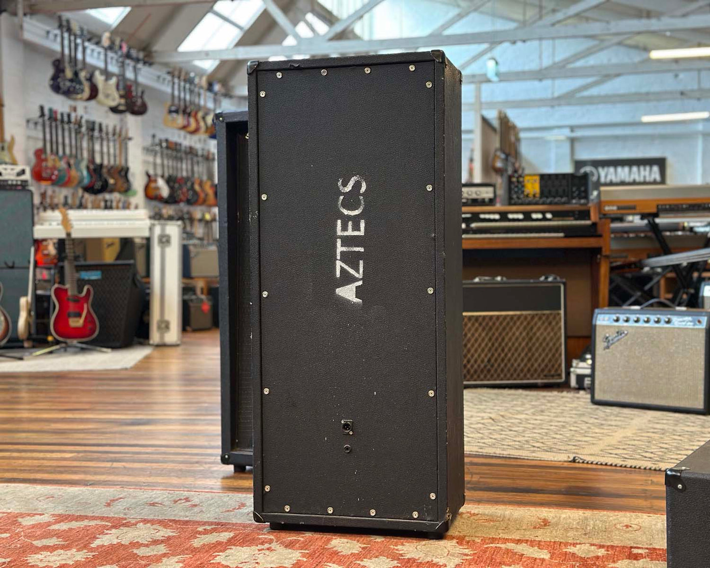 1970s Strauss Minuet Valve PA Head & Speakers