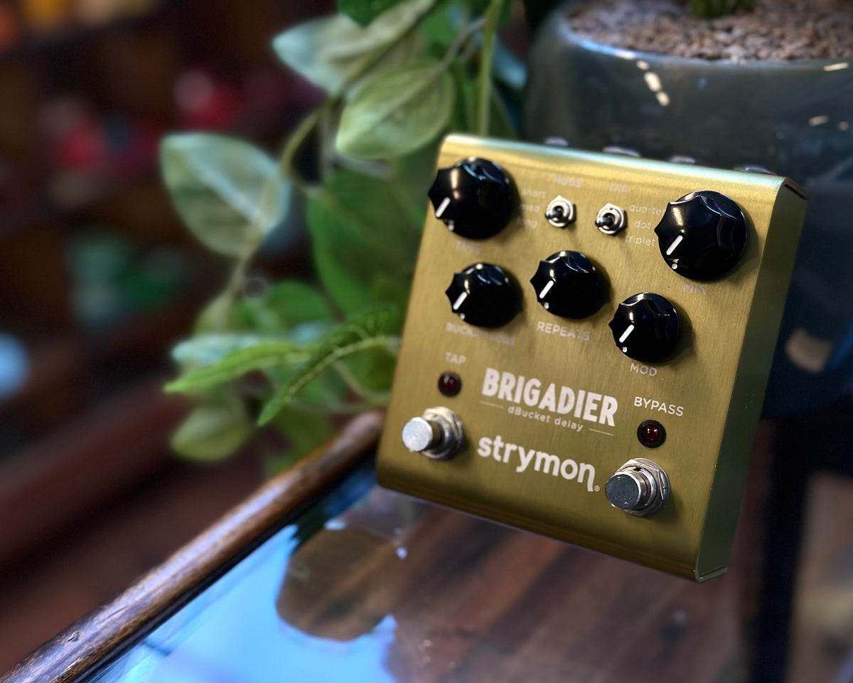 Strymon_Brigadier_Delay_sku_33