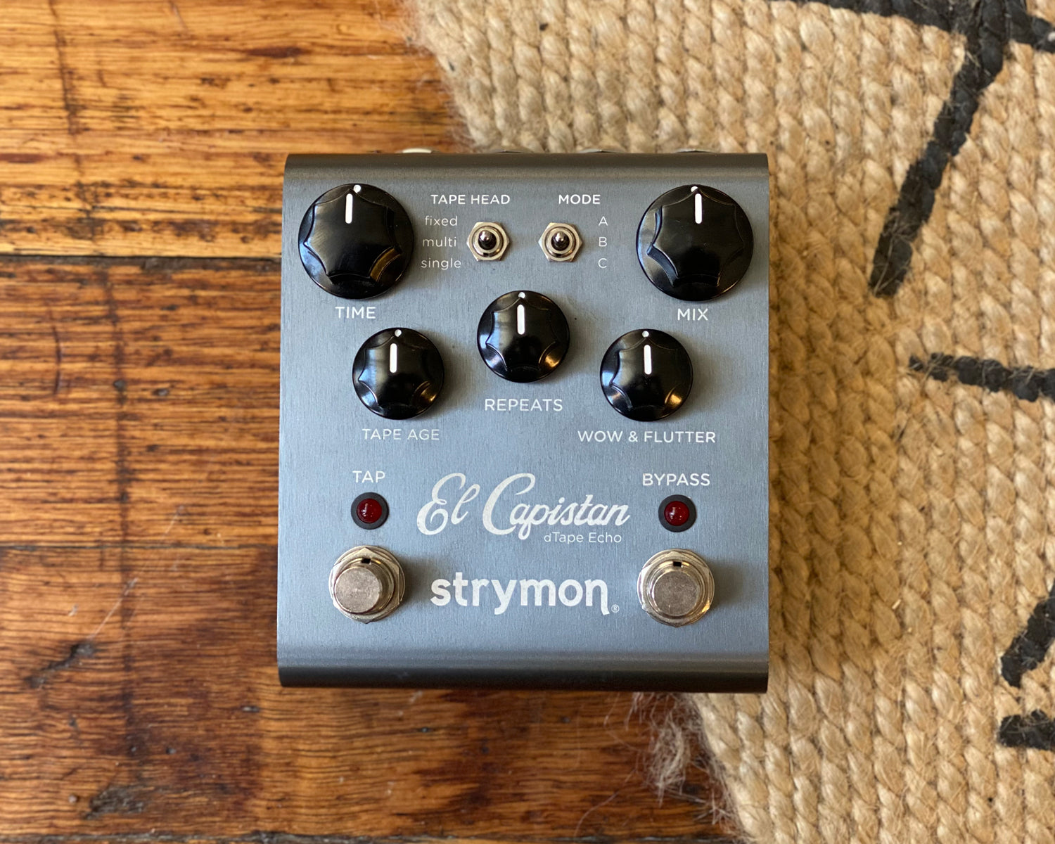 Strymon El Capistan Tape Echo V1 – Found Sound