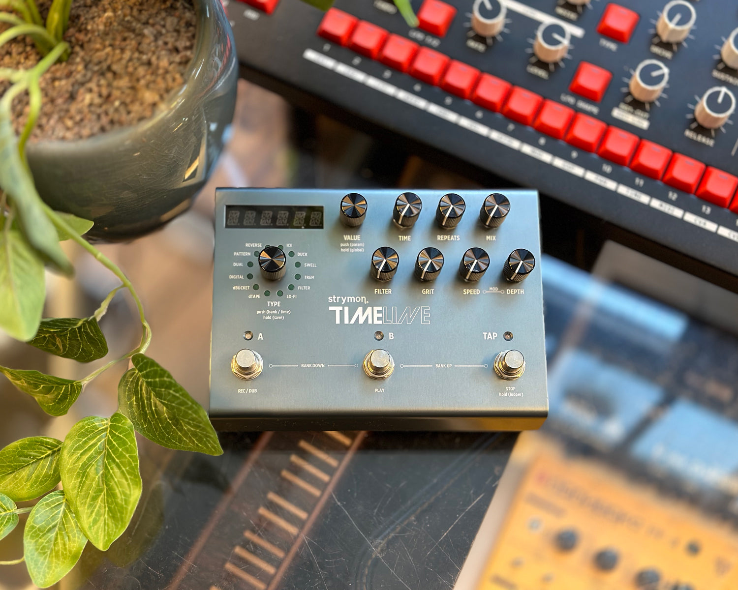 Strymon Timeline Multi Delay with Bonus MultiSwitch – Found Sound
