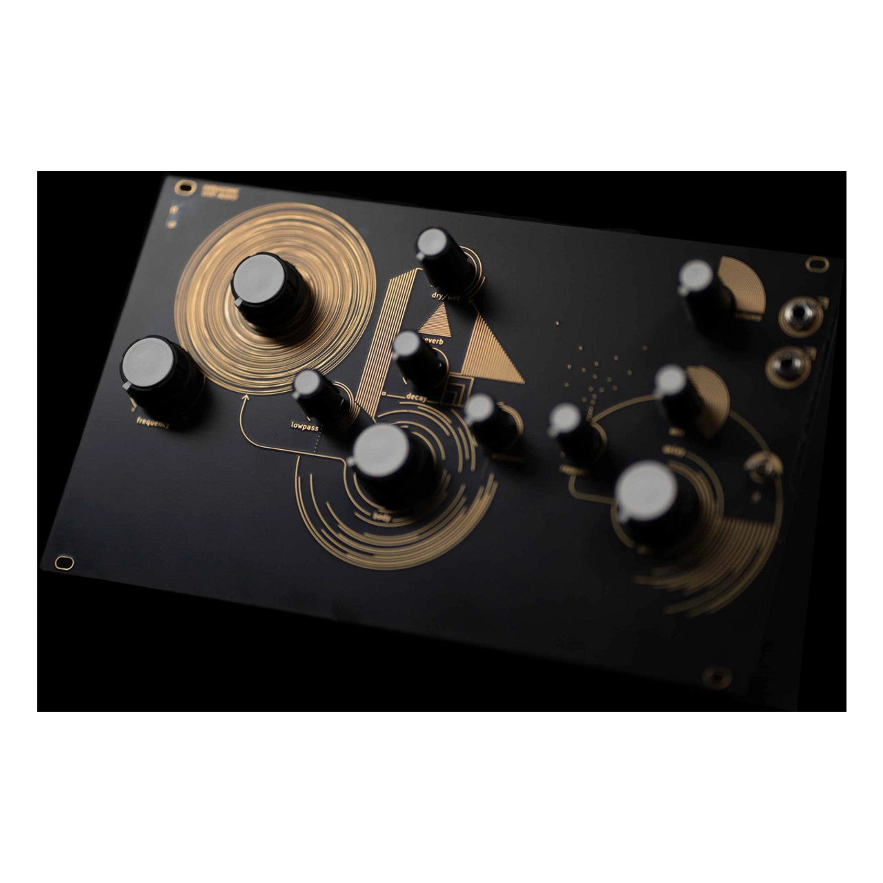 Synthux Audrey II Feedback Synthesizer – Found Sound