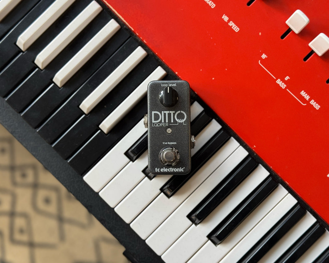 TC Electronic Ditto Looper