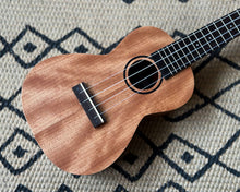 Load image into Gallery viewer, Tanglewood Union Series TU3 - Concert
