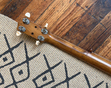 Load image into Gallery viewer, 5 String Banjo with Stamford Case
