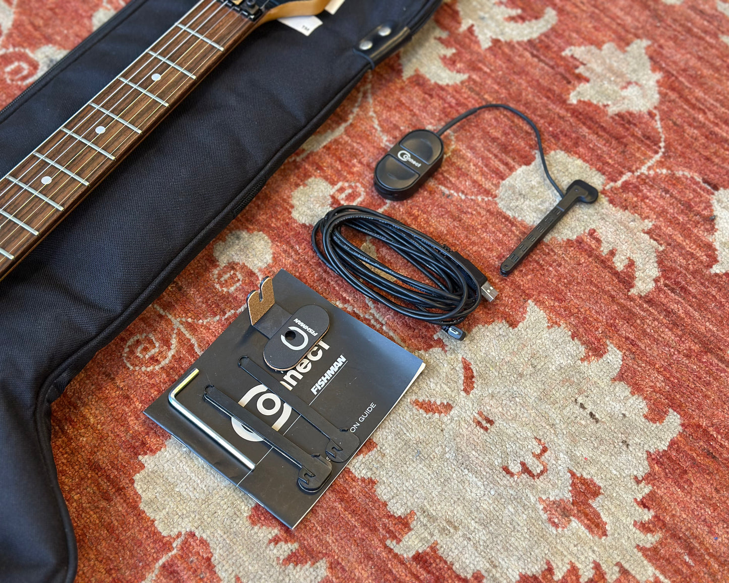 Valley Arts Standard Pro