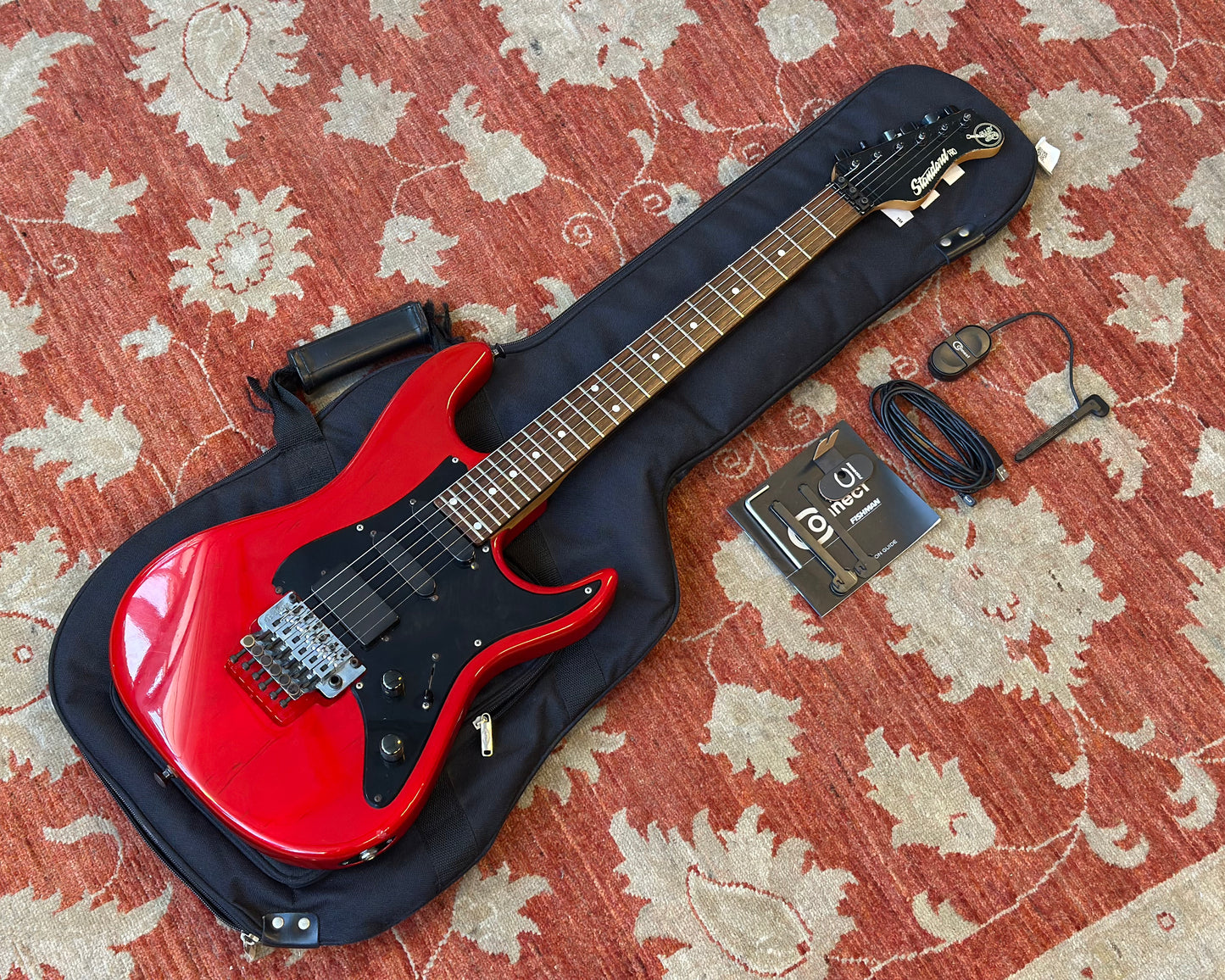 Valley Arts Standard Pro