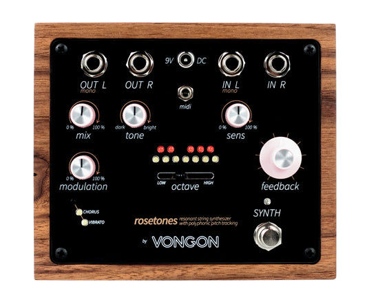 Vongon Rosetones A Resonant String Synthesiser