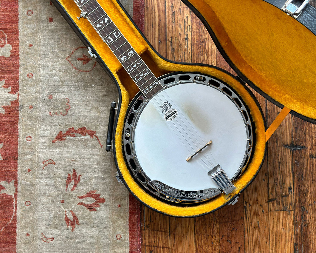 Washburn b16 banjo best sale