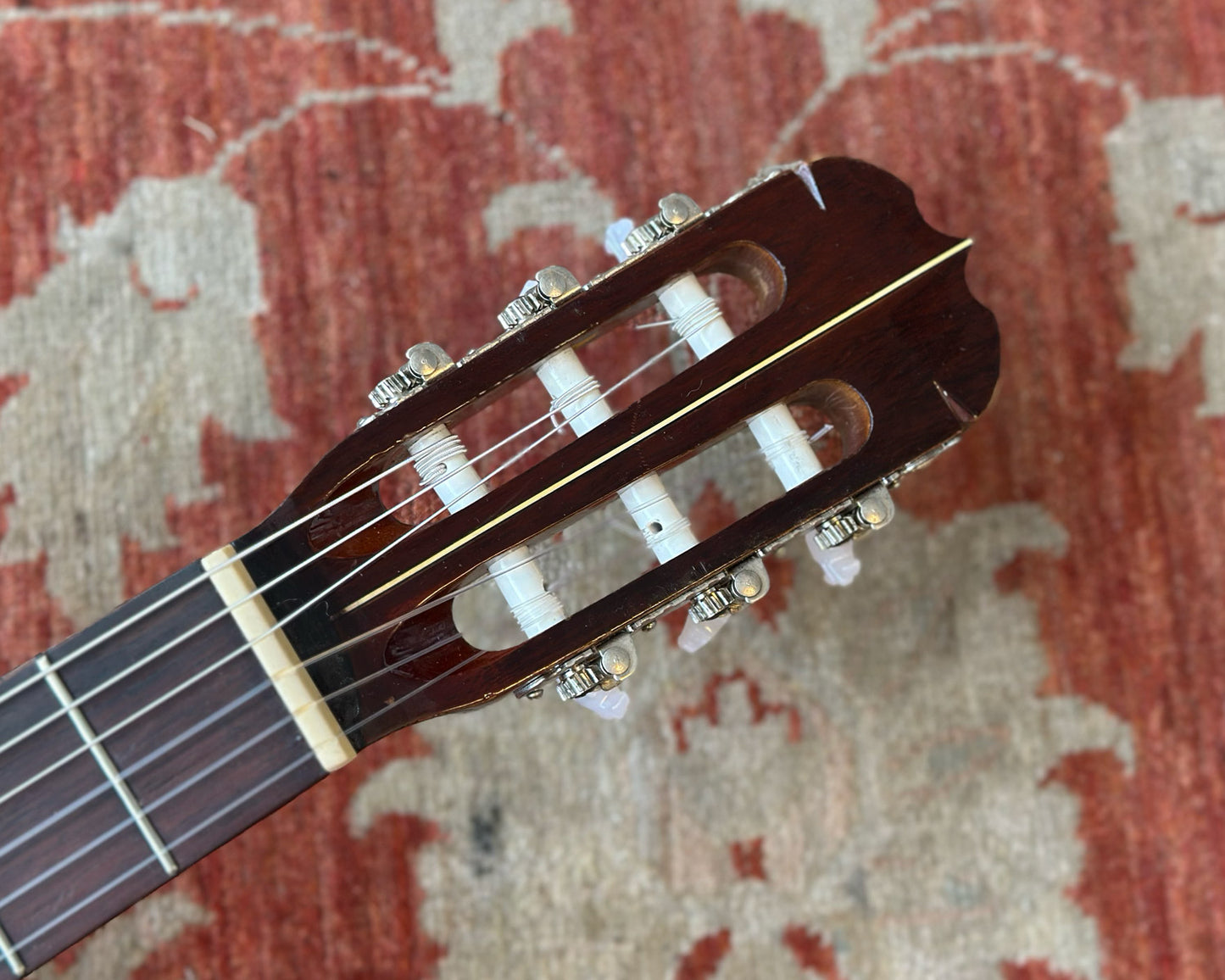 Wayne D-65 Classical Guitar