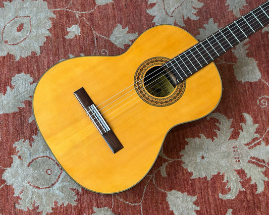 Wayne D-65 Classical Guitar