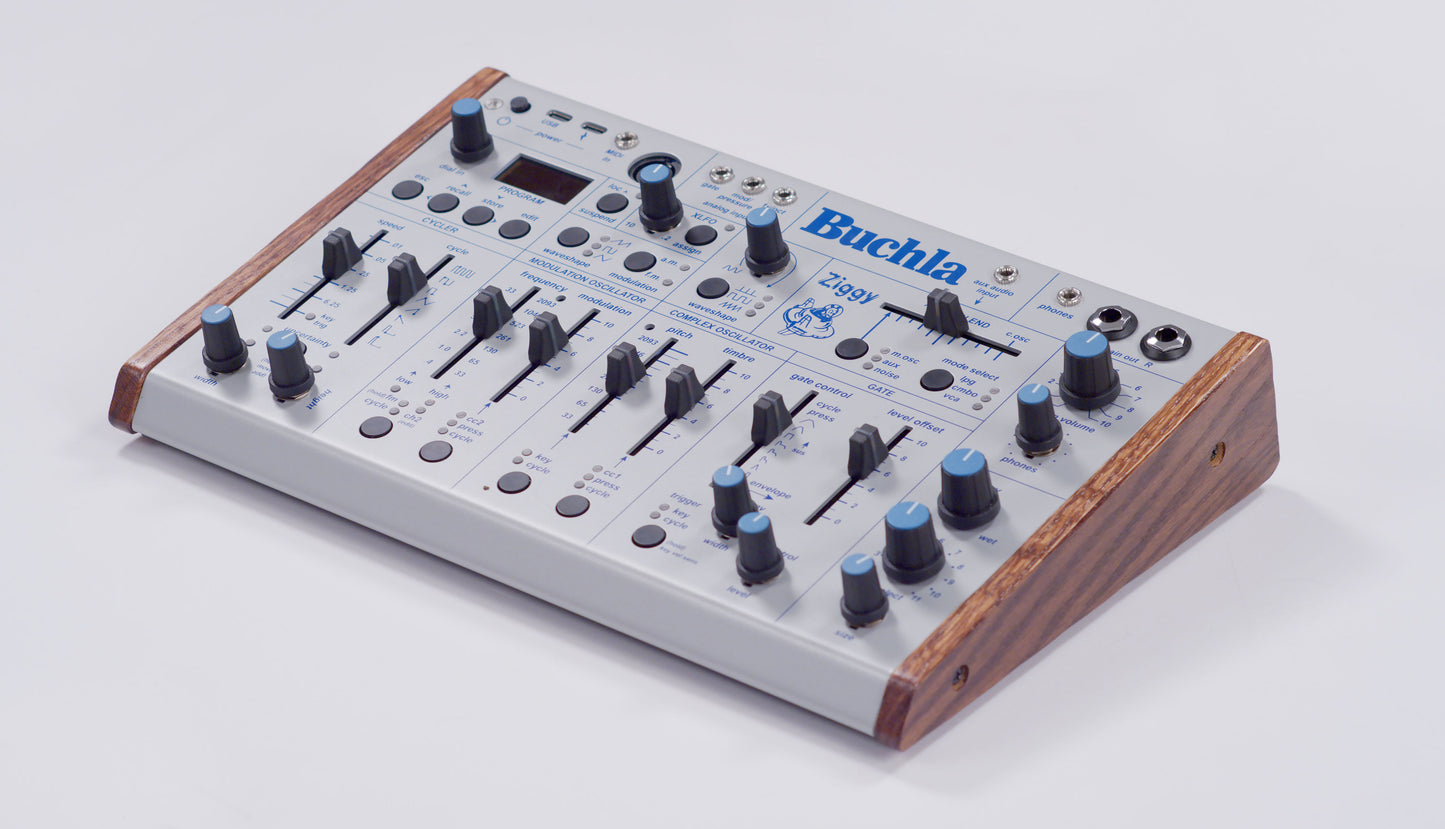 Buchla Ziggy Analog Desktop Synthesiser