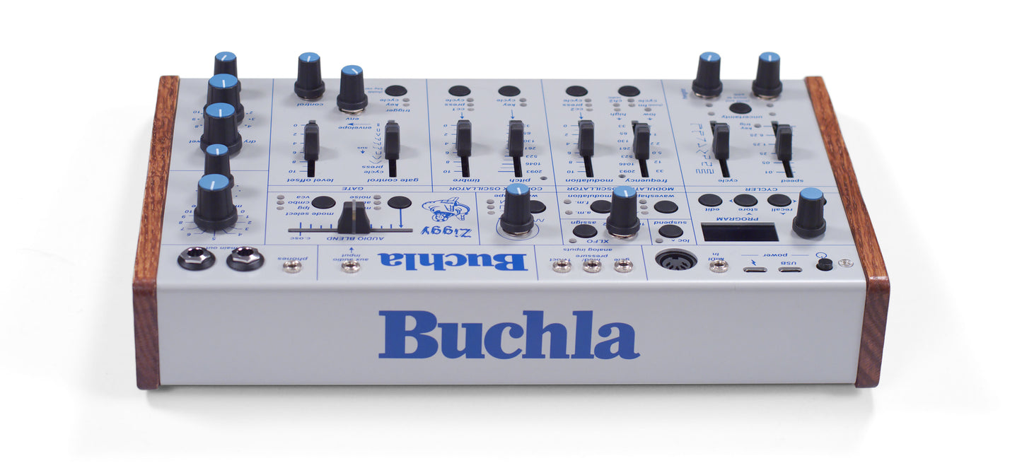 Buchla Ziggy Analog Desktop Synthesiser