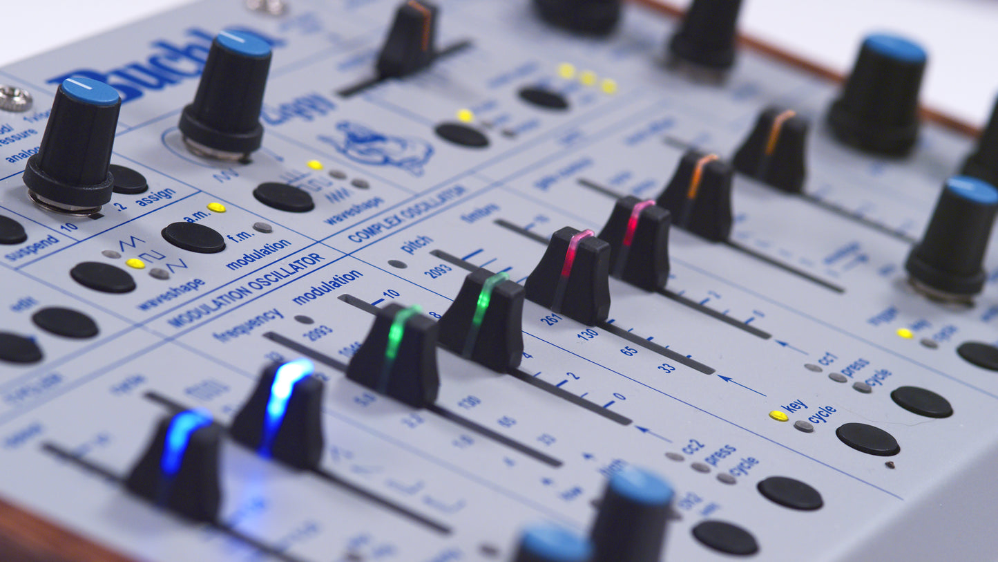 Buchla Ziggy Analog Desktop Synthesiser
