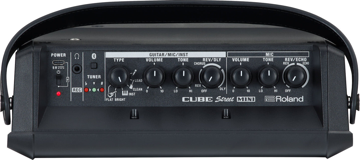 Roland CUBE Street Mini