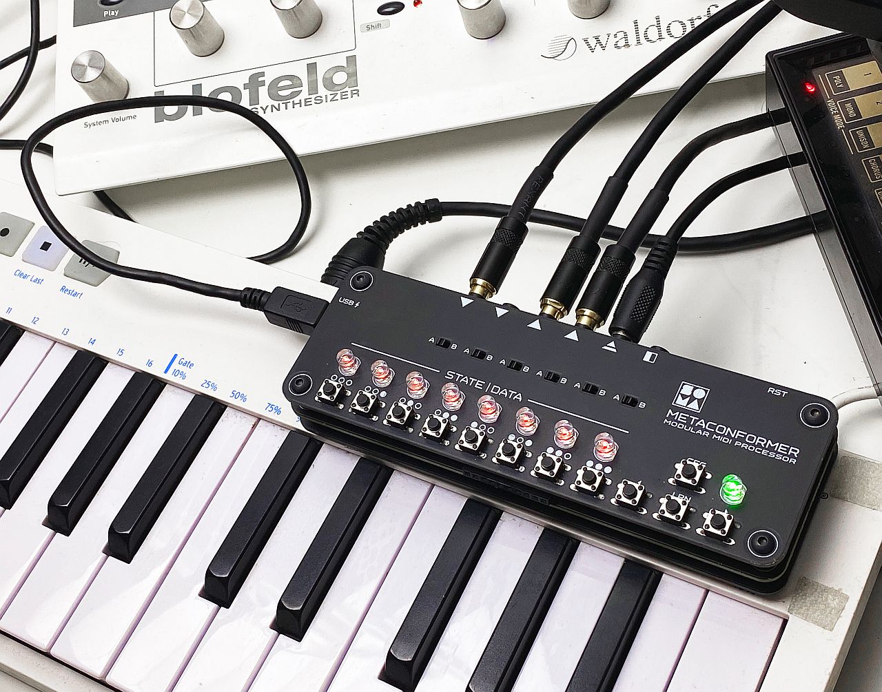 Soma Laboratory Metaconformer Modular Midi Processor/simplexFM Synthesizer