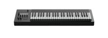 Load image into Gallery viewer, Expressive E Osmose 3D Polyphonic Synthesizer
