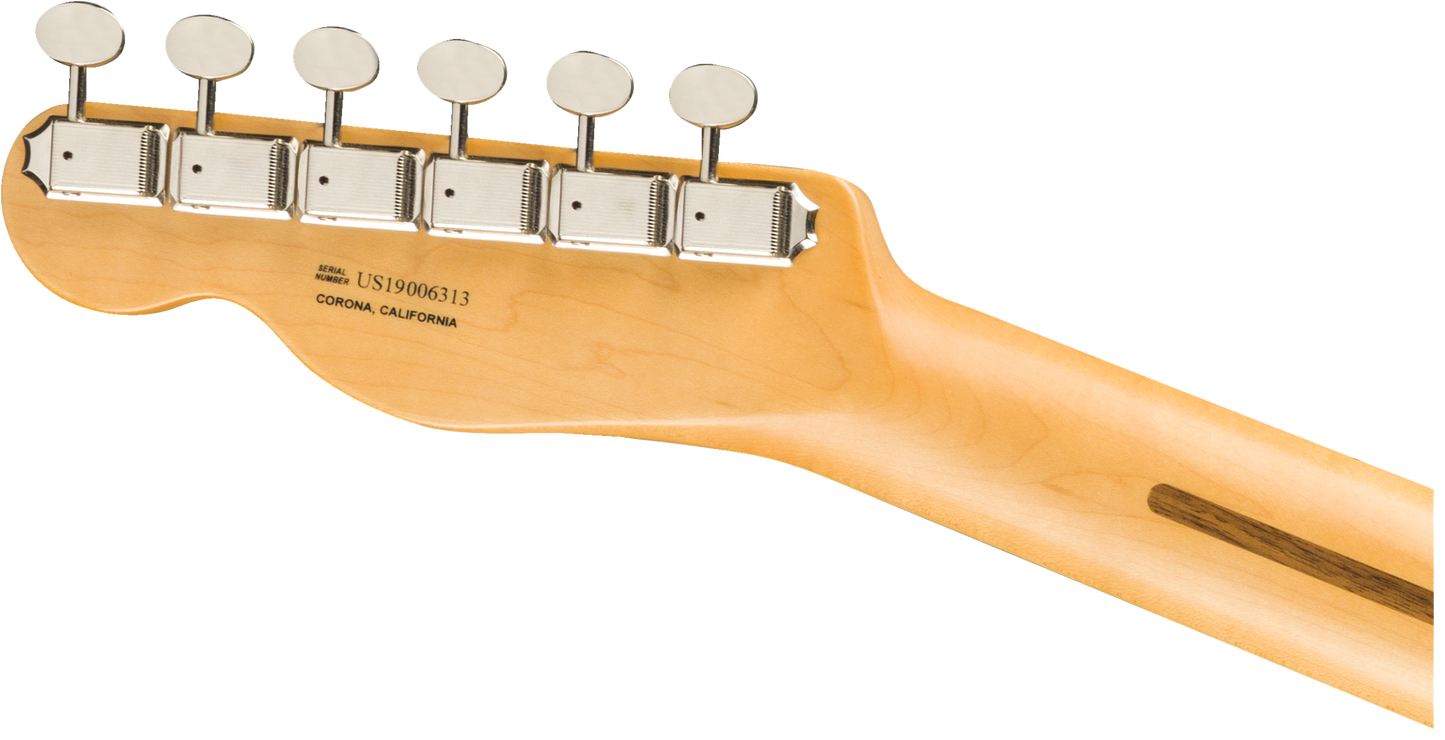 Fender Britt Daniel Tele Thinline
