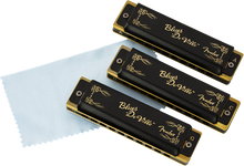 Load image into Gallery viewer, Fender Blues Deville Harmonica (Set of 3)

