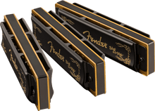Load image into Gallery viewer, Fender Blues Deville Harmonica (Set of 3)
