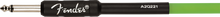 Load image into Gallery viewer, Fender Professional 10&#39; Glow in the Dark Cable - Green
