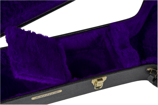 Gretsch G6302 Extra Long Jumbo (12 String) Flat Top Case