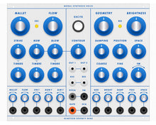 Load image into Gallery viewer, 1979 MSV Modal Synthesis Voice
