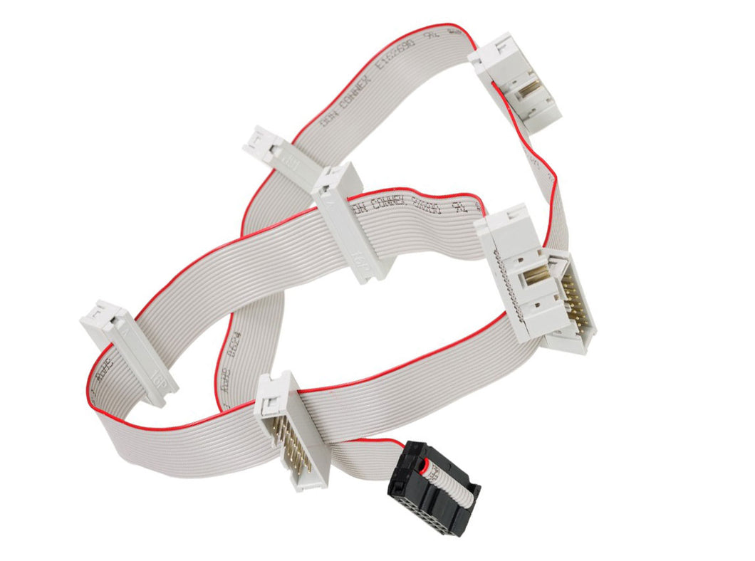 4MS Flying Bus Cable (Male)