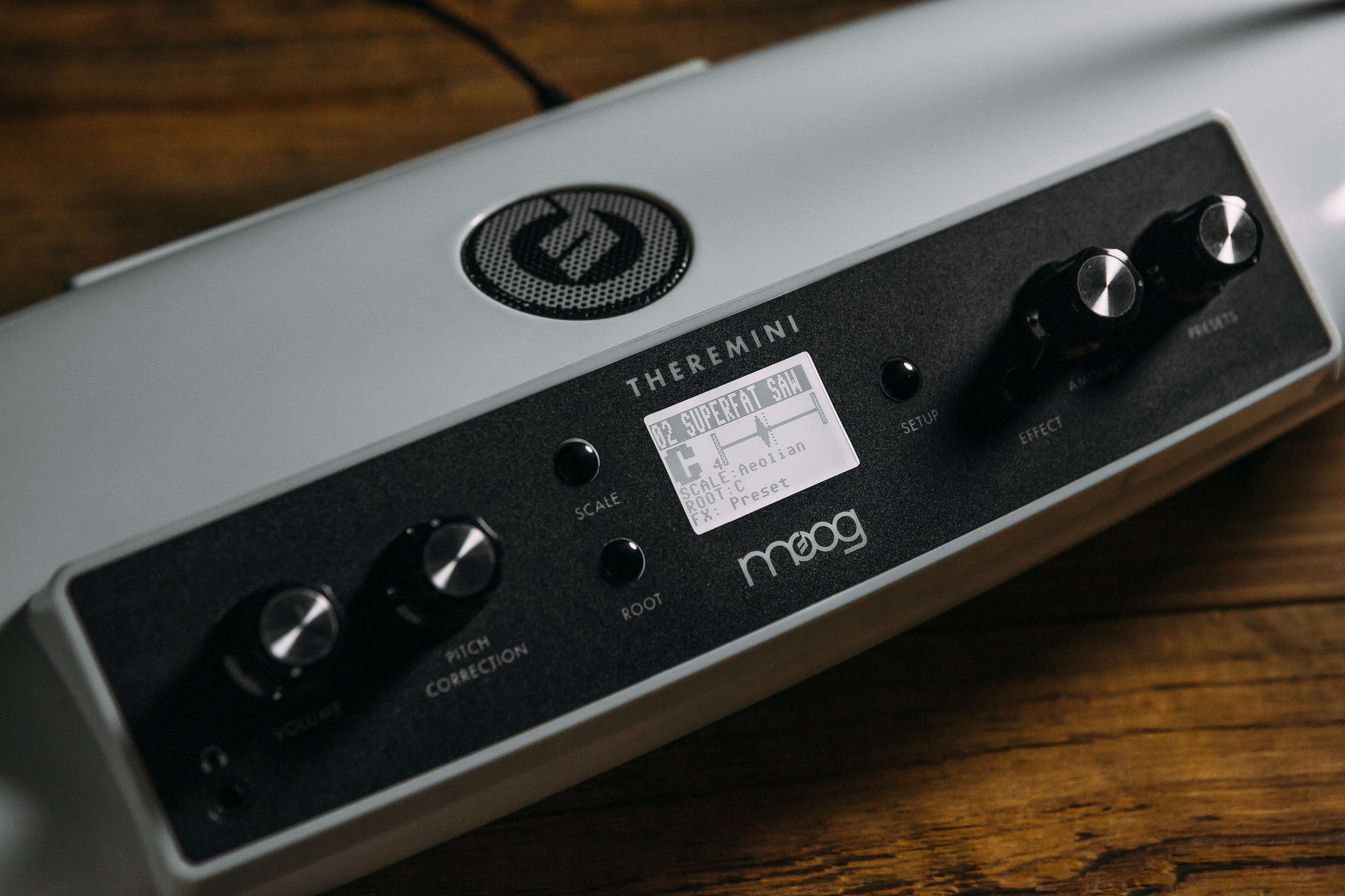 Moog Theremini Theremin – Found Sound