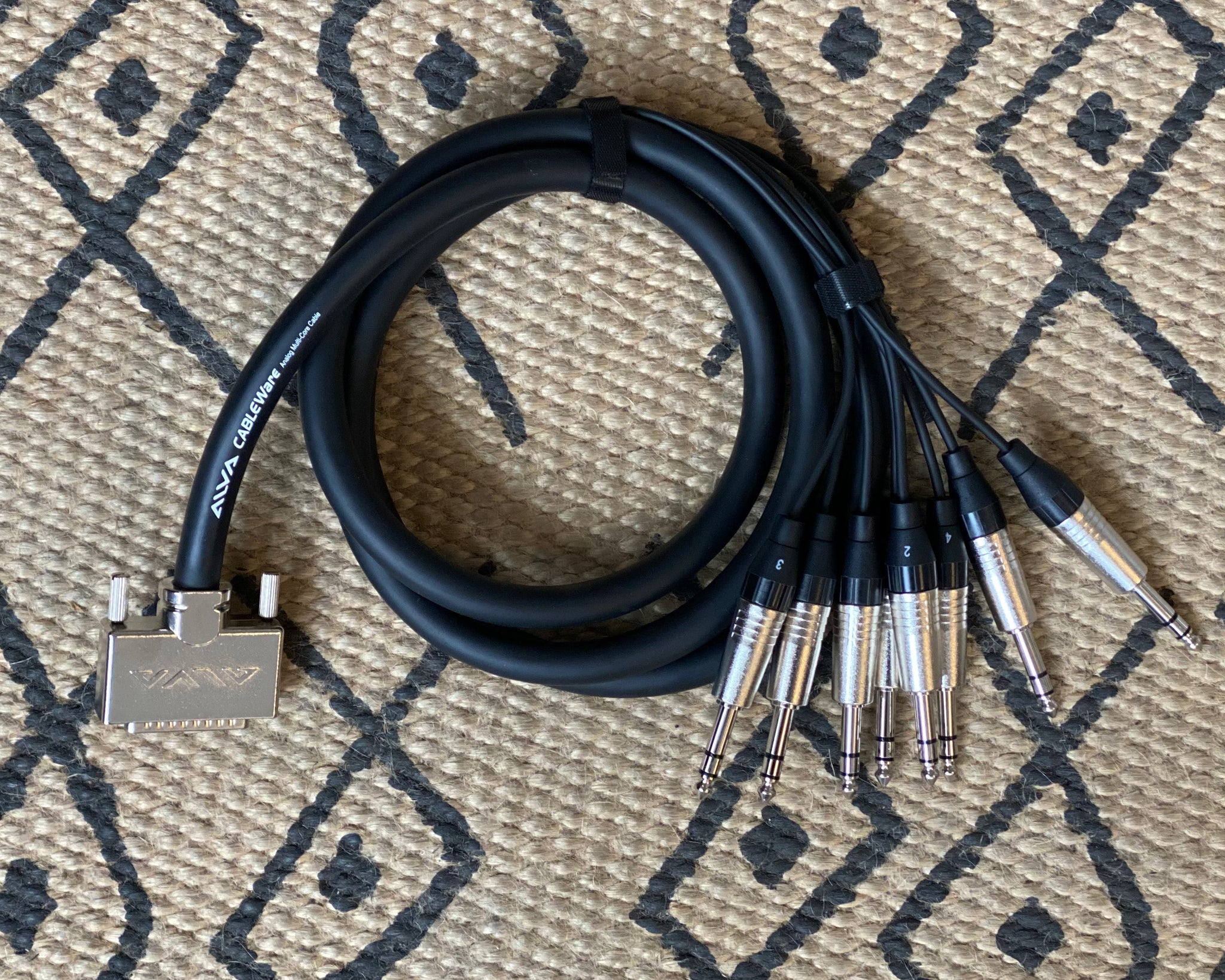 【美品】ALVA D-Sub25 to 8x TRS ケーブル 2m（2セット） Alva Cableware DB25 to 8 X TRS Loom 2m – Found Sound