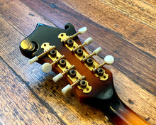 Load image into Gallery viewer, Baracuda F Style Mandolin
