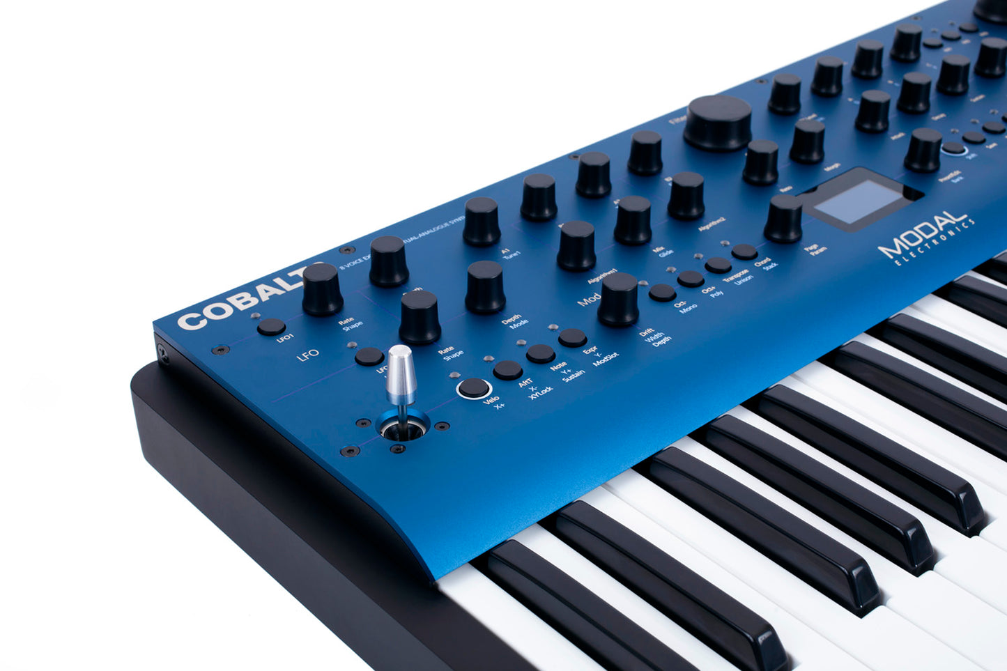 Modal Electronics COBALT8 8 voice 37-key Extended Virtual-Analogue Synthesiser