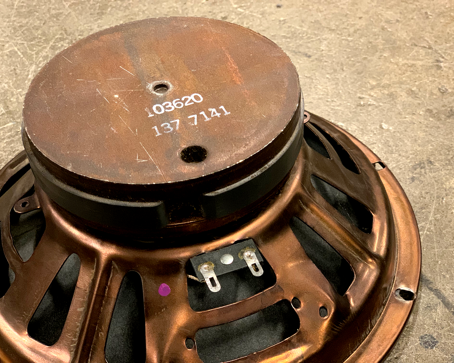 CTS 10" Speaker