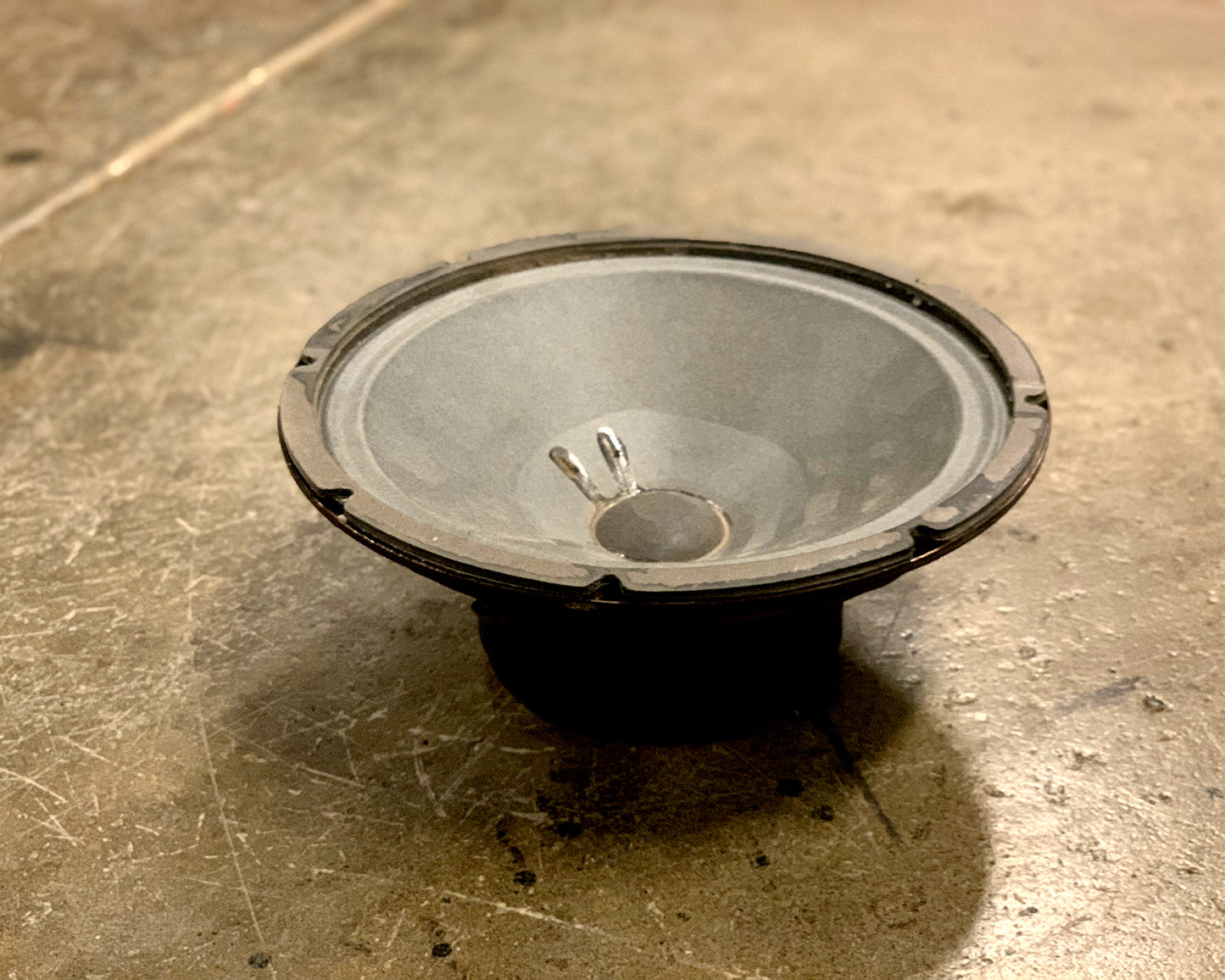 CTS 10" Speaker
