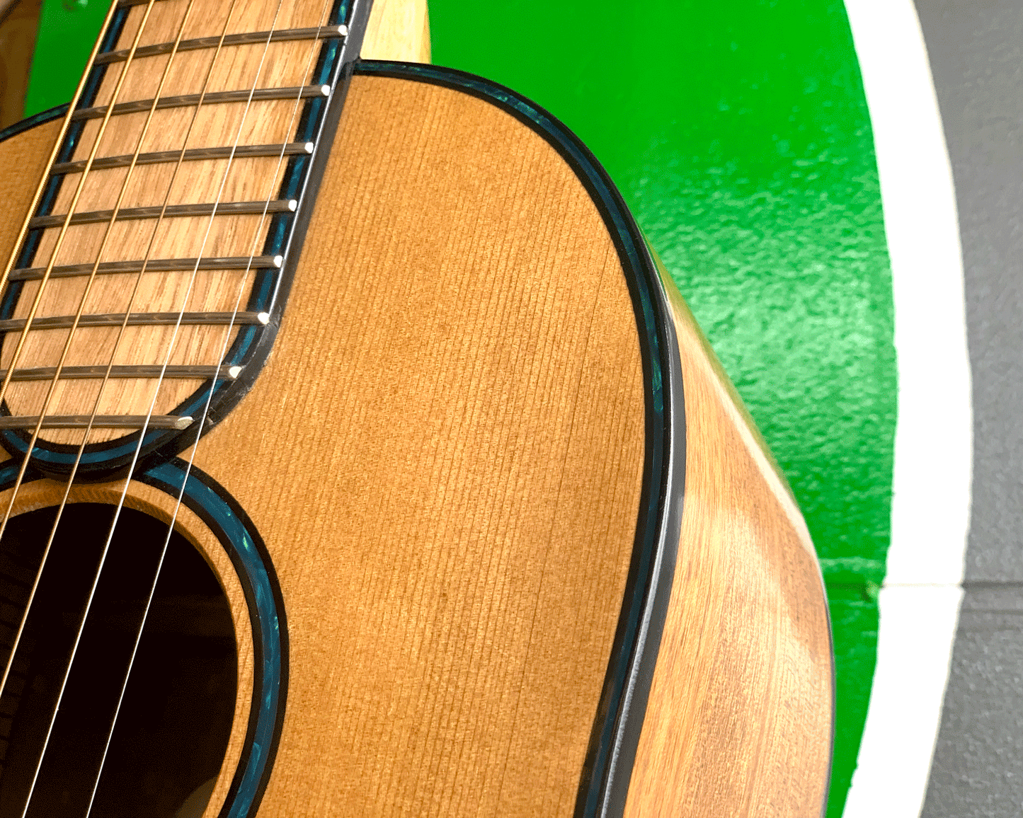 Coppard Guitars Danger